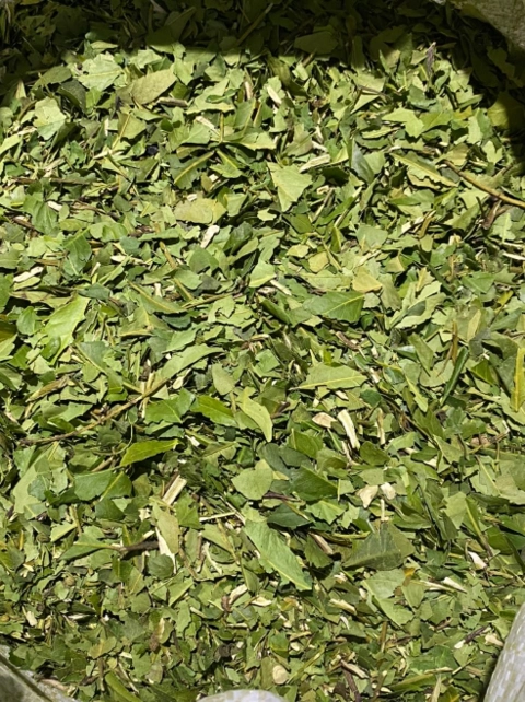 Erva Mate atacado Imagem Erva Mate atacado