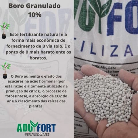 Boro Rind Boro Granulado 10% em Catalão GO à venda. Compre direto 635168
