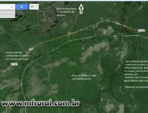 TERRENO NO MARANHAO R$600,00/HA (total 6800 ha)