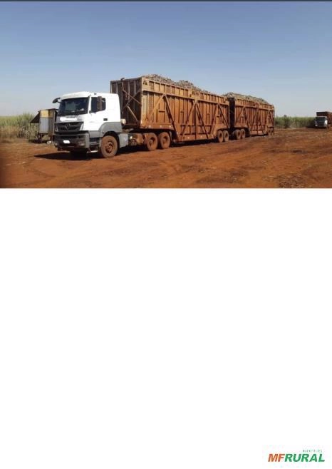TRANSPORTE DE CANA PICADA E COLHEITA SAFRA 2024 Imagem TRANSPORTE DE CANA PICADA E COLHEITA SAFRA 2024