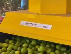 Máquina  Beneficiadora compacta para Citrus