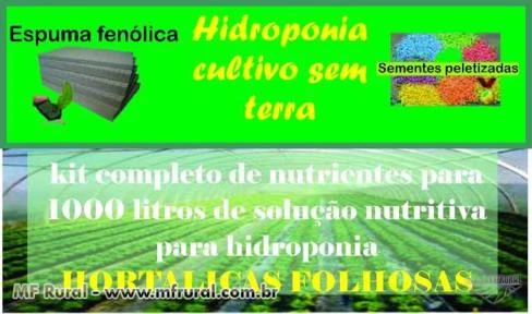 Kit Completo Nutrientes Para 1000 Litros Solução Hidroponia para hortaliças