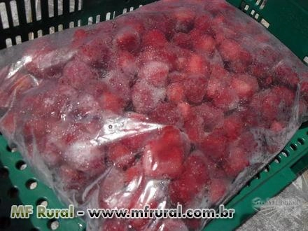 Imagem morangos in natura  e congelado , o melhor  de minas Imagem morangos in natura  e congelado , o melhor  de minas