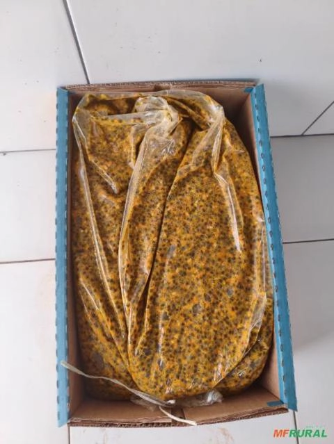 Polpa de maracujá Imagem Polpa de maracujá