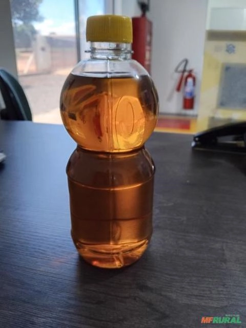 Óleo de girassol in natura Imagem Óleo de girassol in natura