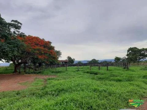 Fazenda São João D´Aliança-GO - Projeto de Irrigação com 800ha irrigados por gravidade.