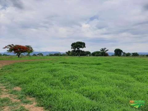 Fazenda São João D´Aliança-GO - Projeto de Irrigação com 800ha irrigados por gravidade.