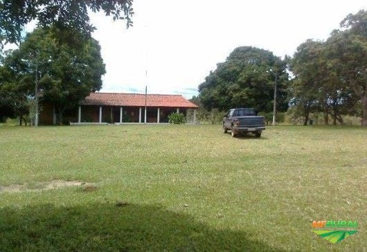 VENDO OU TROCO FAZENDA EM POCONÉ, MATO GROSSO, POR FAZENDA EM SÃO PAULO, MINAS GERAIS