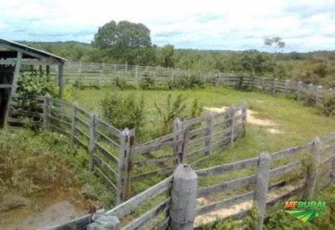 VENDO OU TROCO FAZENDA EM POCONÉ, MATO GROSSO, POR FAZENDA EM SÃO PAULO, MINAS GERAIS