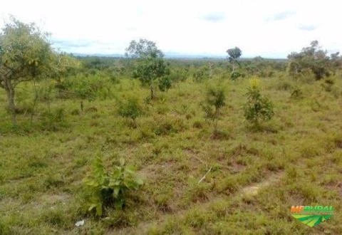 VENDO OU TROCO FAZENDA EM POCONÉ, MATO GROSSO, POR FAZENDA EM SÃO PAULO, MINAS GERAIS