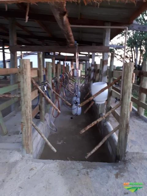 Fazenda 2.100,00 há para pecuária de Corte e Leite entre outras atividades, litoral Sul de São Paulo