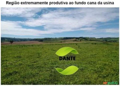 Negócio de Ocasião!  Região de Botucatu, SP. Excelente fazenda com 71 alqueires ou 171,82 hectares.