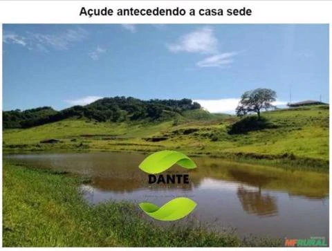 Negócio de Ocasião!  Região de Botucatu, SP. Excelente fazenda com 71 alqueires ou 171,82 hectares.