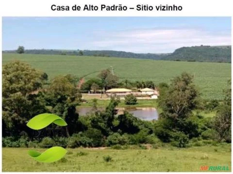 Negócio de Ocasião!  Região de Botucatu, SP. Excelente fazenda com 71 alqueires ou 171,82 hectares.