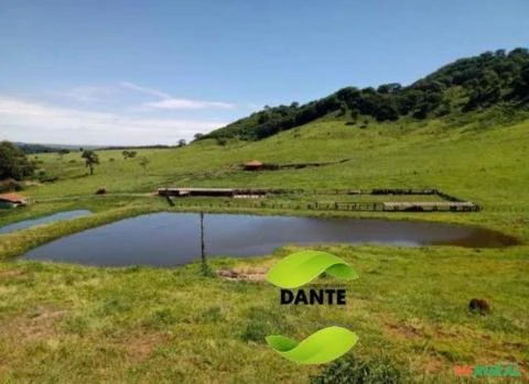 Negócio de Ocasião!  Região de Botucatu, SP. Excelente fazenda com 71 alqueires ou 171,82 hectares.