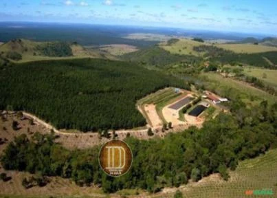 Fazenda 266,7 Hectares, Região de Itatinga, São Paulo.