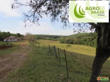 Fazenda 266,7 Hectares, Região de Itatinga, São Paulo.