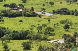 Fazenda 658,24 hectares, Região de Nova América, Goiás.