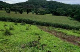 Fazenda 261,36 hectares, Região de Campinaçu, Goiás.
