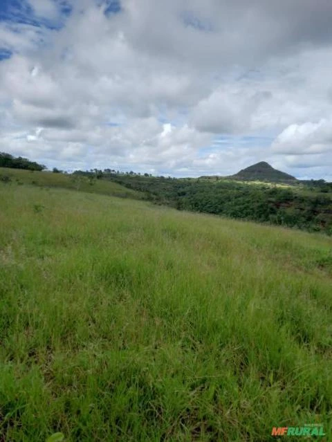 Fazenda com 987,36 hectares em Caiapônia, Goiás.