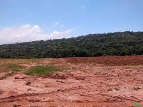 Fazenda 176,7há. Região de Bueno Brandão, Minas Gerais.