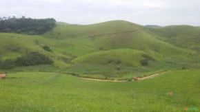 Fazenda 363, hectares no Vale do Paraíba, S P.