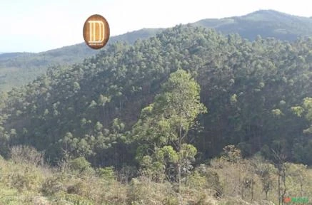 Fazenda com Haras. Área 242 há. Vale do Paraíba, São Paulo.