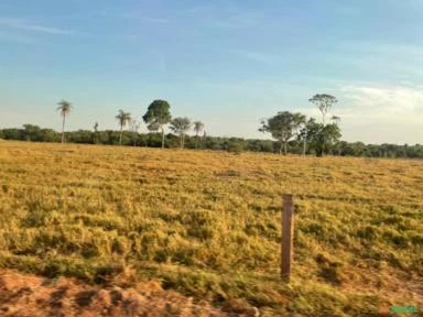 Fazenda com 4.902,02 hectares. Estado do Tocantins.