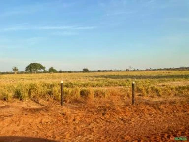 Fazenda com 4.902,02 hectares. Estado do Tocantins.