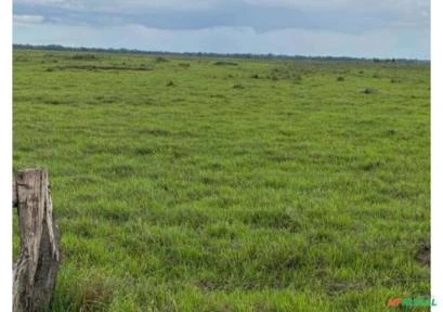 Faz 5.769ha Lagoa da Confusão, Tocantins