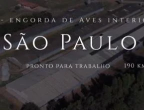 Granja de Engorda de Frangos - Interior de São Paulo.