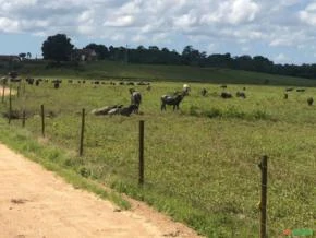 Fazenda 568,7 hectares, Região de Iguape,  Vale do Ribeira, São Paulo.