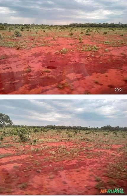 Pium, Tocantins. Fazenda com 3.533,2há.