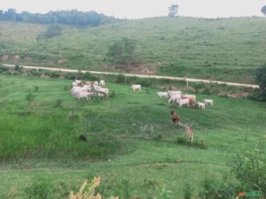 Vale do Ribeira, São Paulo. Sítio com 70,1 hectares.