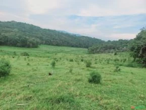 Vale do Ribeira, São Paulo. Sítio com 70,1 hectares.