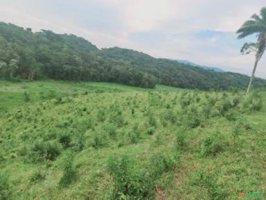 Vale do Ribeira, São Paulo. Sítio com 70,1 hectares.