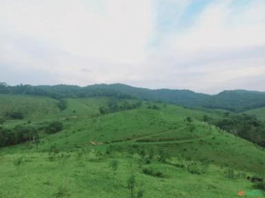 Vale do Ribeira, São Paulo. Sítio com 70,1 hectares.