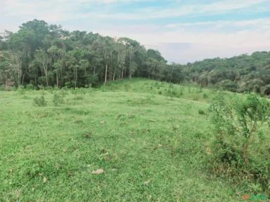 Vale do Ribeira, São Paulo. Sítio com 70,1 hectares.