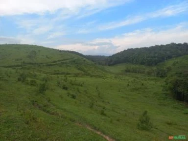 Vale do Ribeira, São Paulo. Sítio com 70,1 hectares.