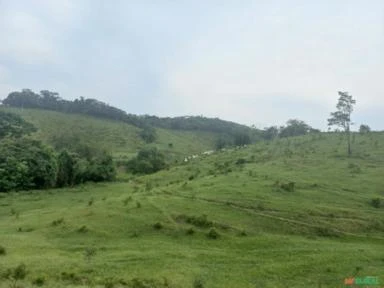 Vale do Ribeira, São Paulo. Sítio com 70,1 hectares.