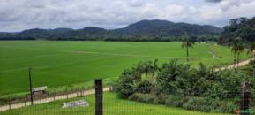 Fazenda 401,0 hectares, Região do Vale do Ribeira, São Paulo.