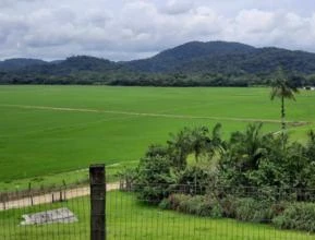 Fazenda 401,0 hectares, Região do Vale do Ribeira, São Paulo.