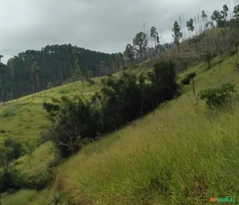 Fazenda com 183,3951 há. Região do Vale do Paraíba, São Paulo.