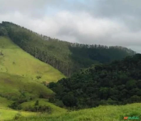 Fazenda com 183,3951 há. Região do Vale do Paraíba, São Paulo.