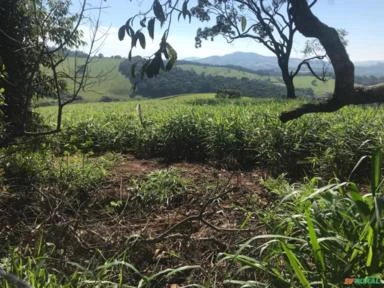 Área Rural 96,8 hectares. Região de Atibaia, São Paulo.