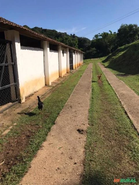 Área Rural 96,8 hectares. Região de Atibaia, São Paulo.
