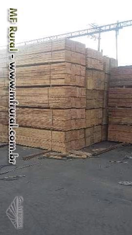 Tabuas Imagem Tabuas