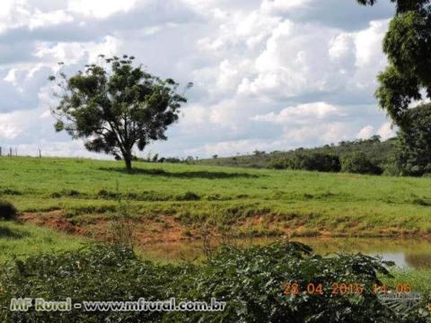 Fazenda