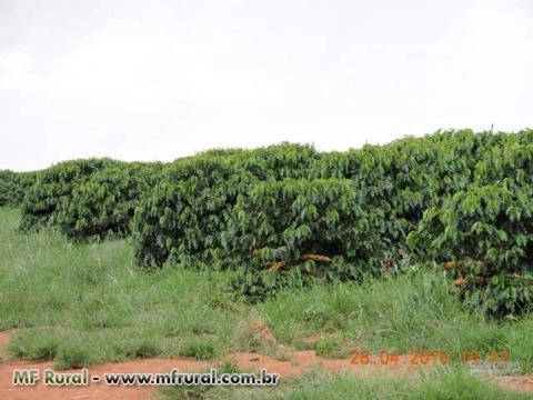 Fazenda