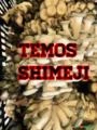 Cogumelo shimeji